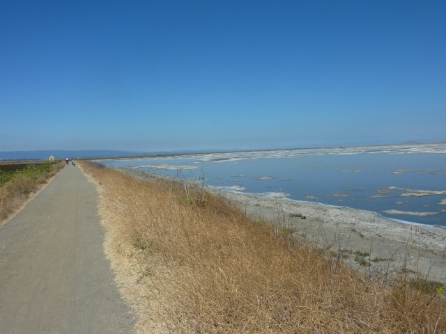 P1050973