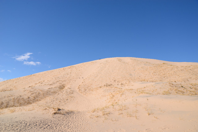 mojave-Desert-12