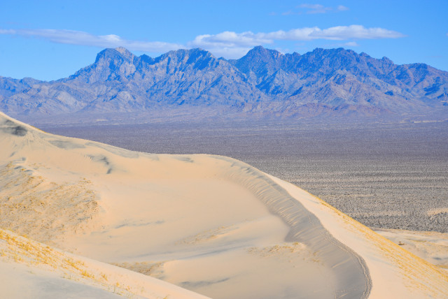 mojave-Desert-14