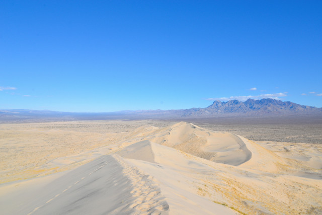 mojave-Desert-21
