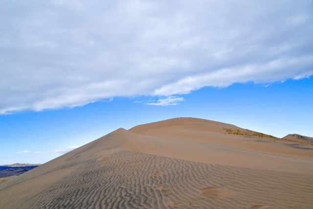 mojave-Desert-26