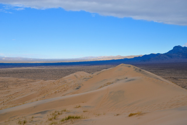 mojave-Desert-27