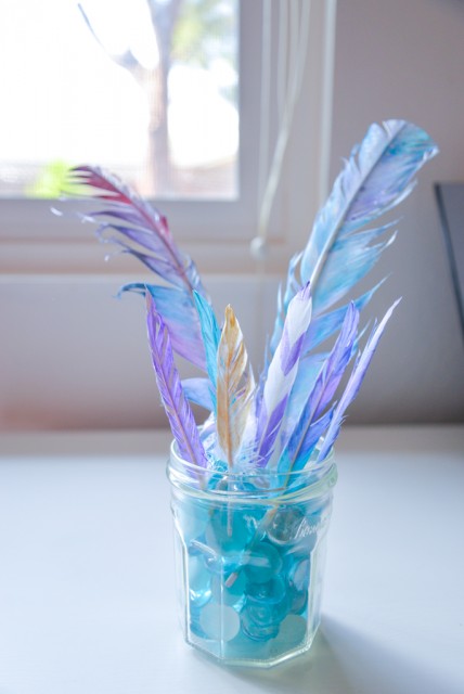 Diyplumessolorees-2