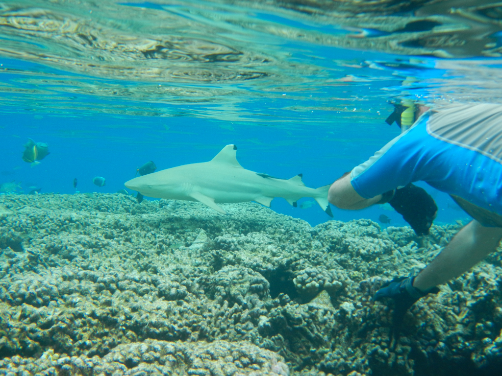 Fakarava-7