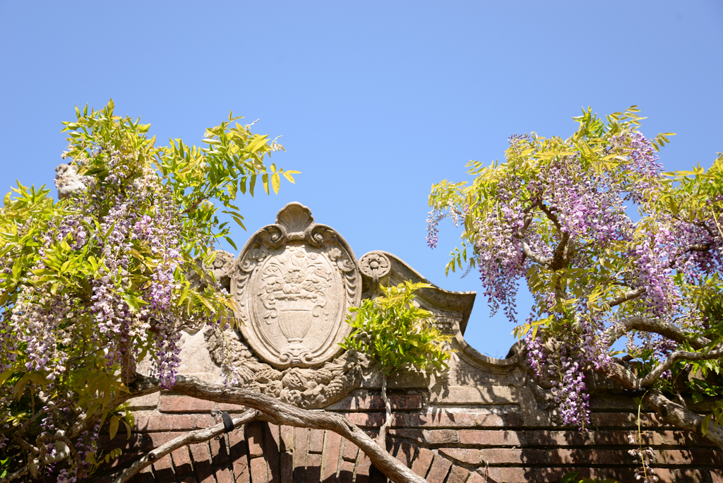 Filoligarden-18