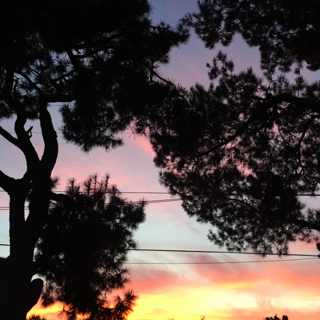 IphoneOctobre006