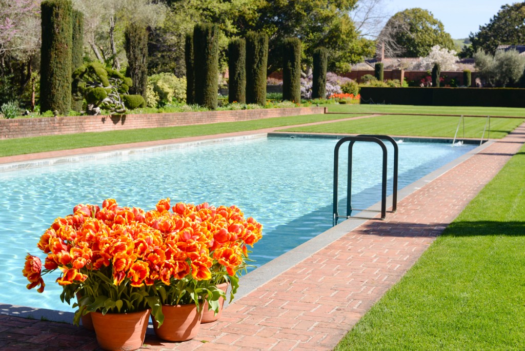 Filoli-garden-piscine-californie