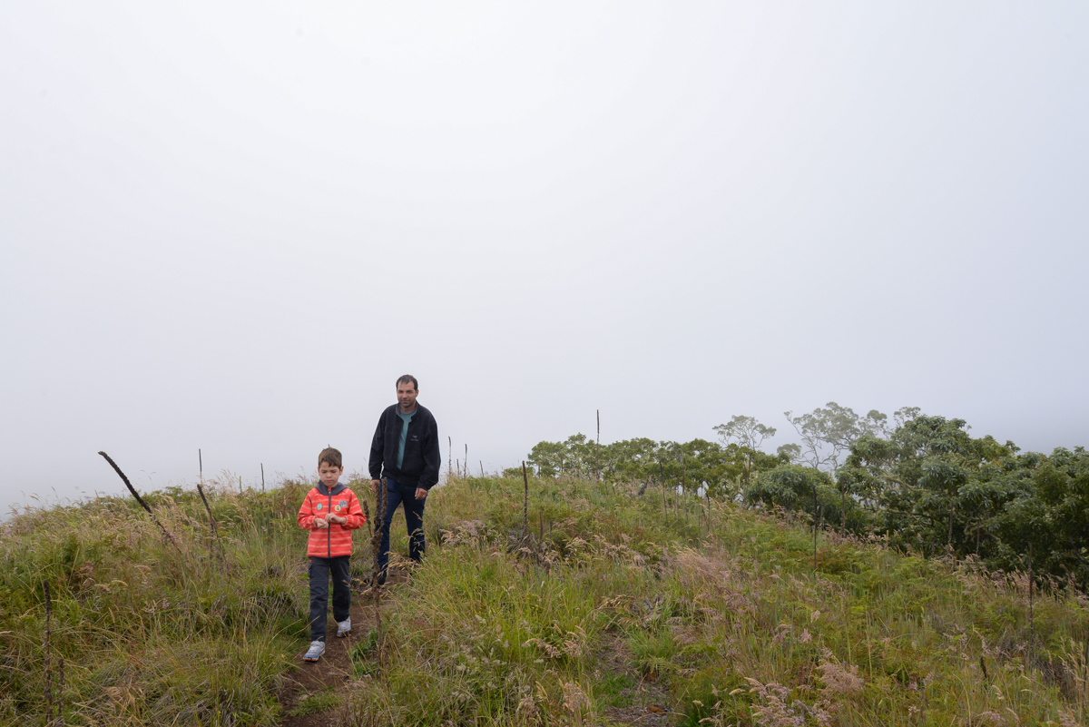 Big Island-saddle road