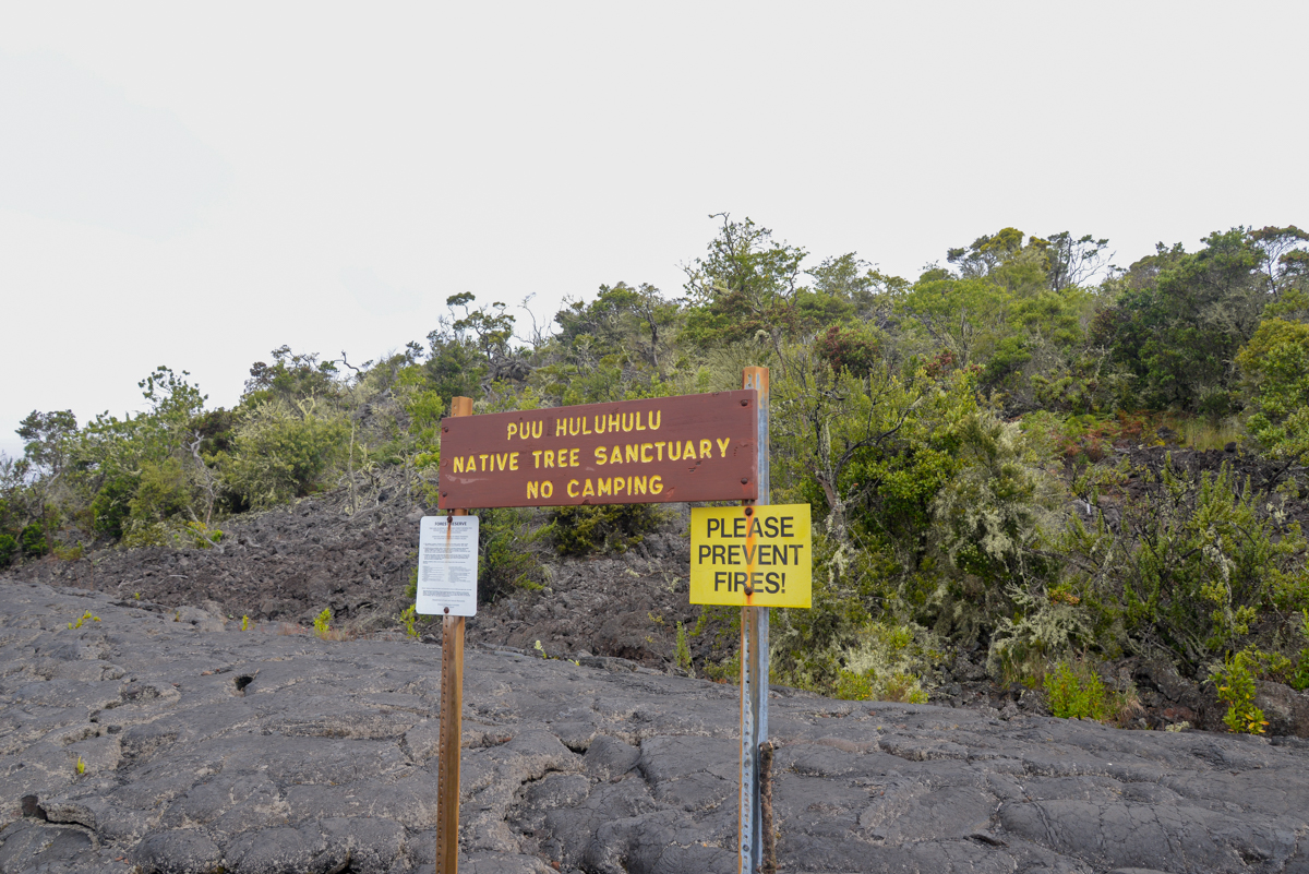 Big Island-saddle road