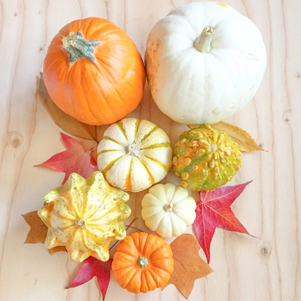 citrouilles