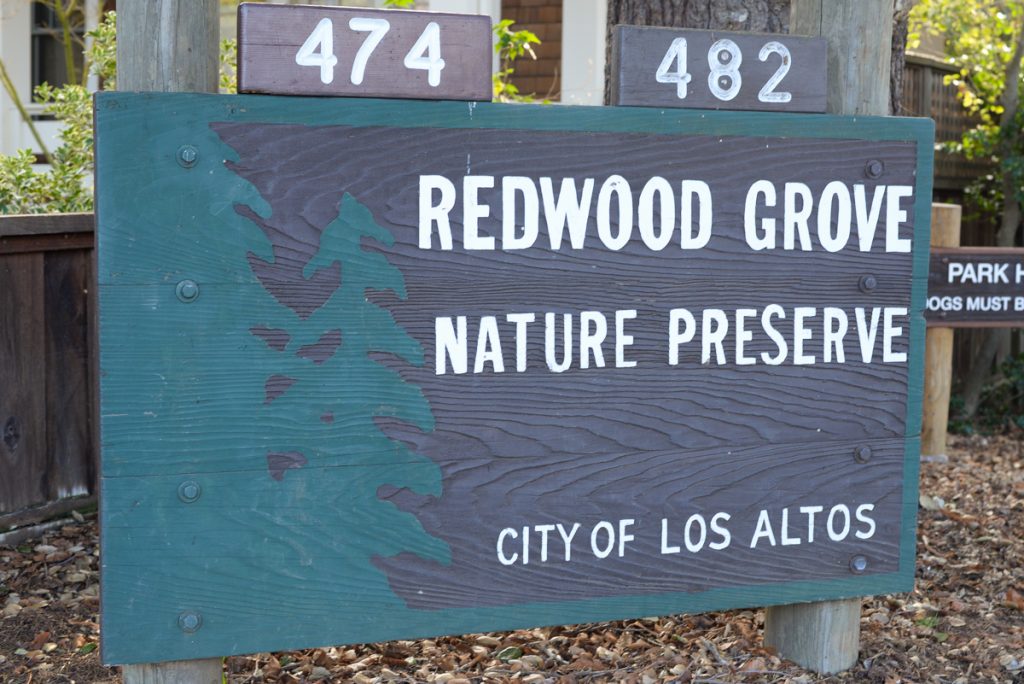 Redwood-grove-los-altos