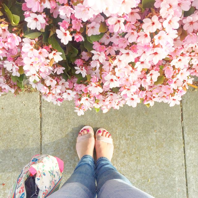 printemps-californie
