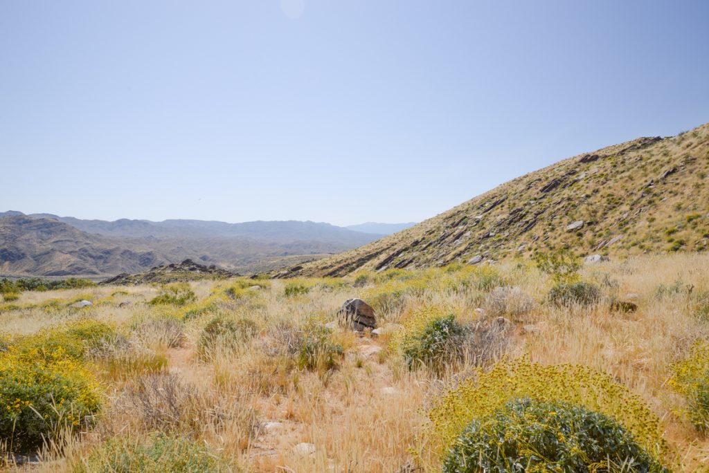indian-canyons-californie
