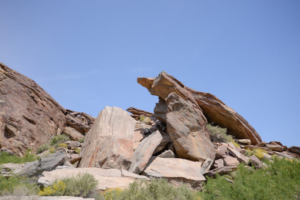 indian-canyons-californie