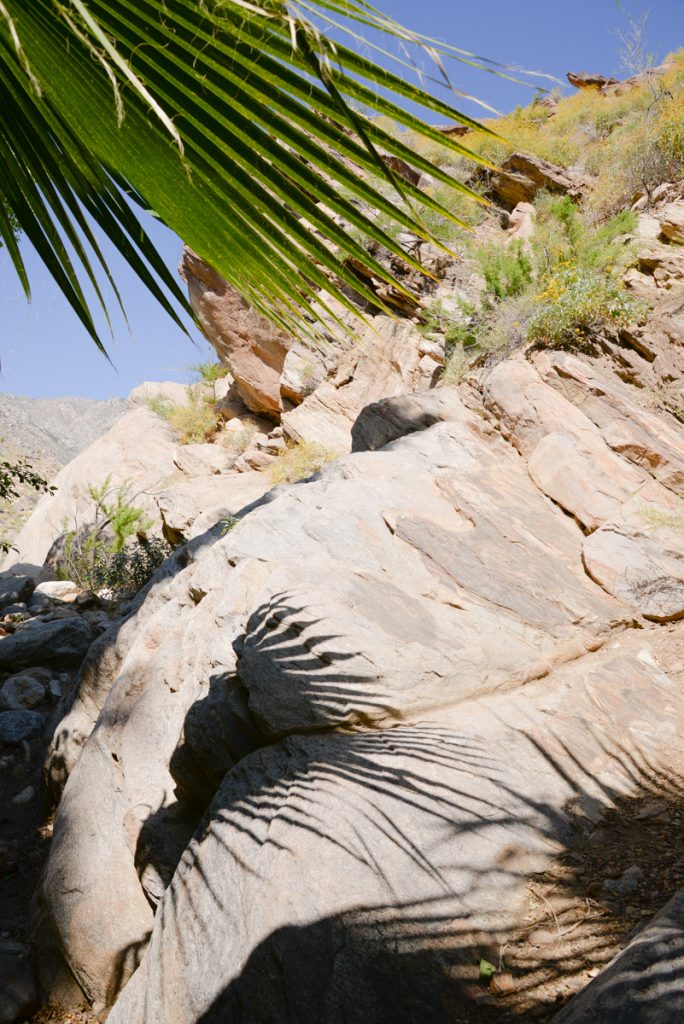 indian-canyons-californie
