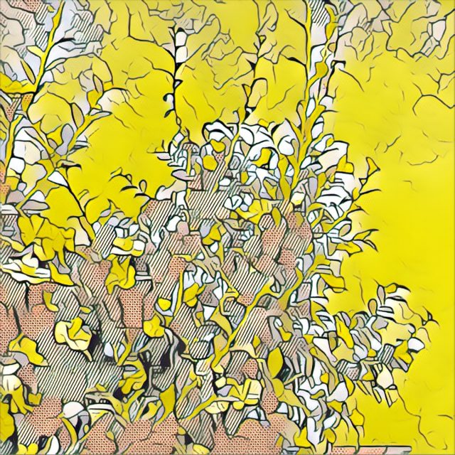 prisma-application