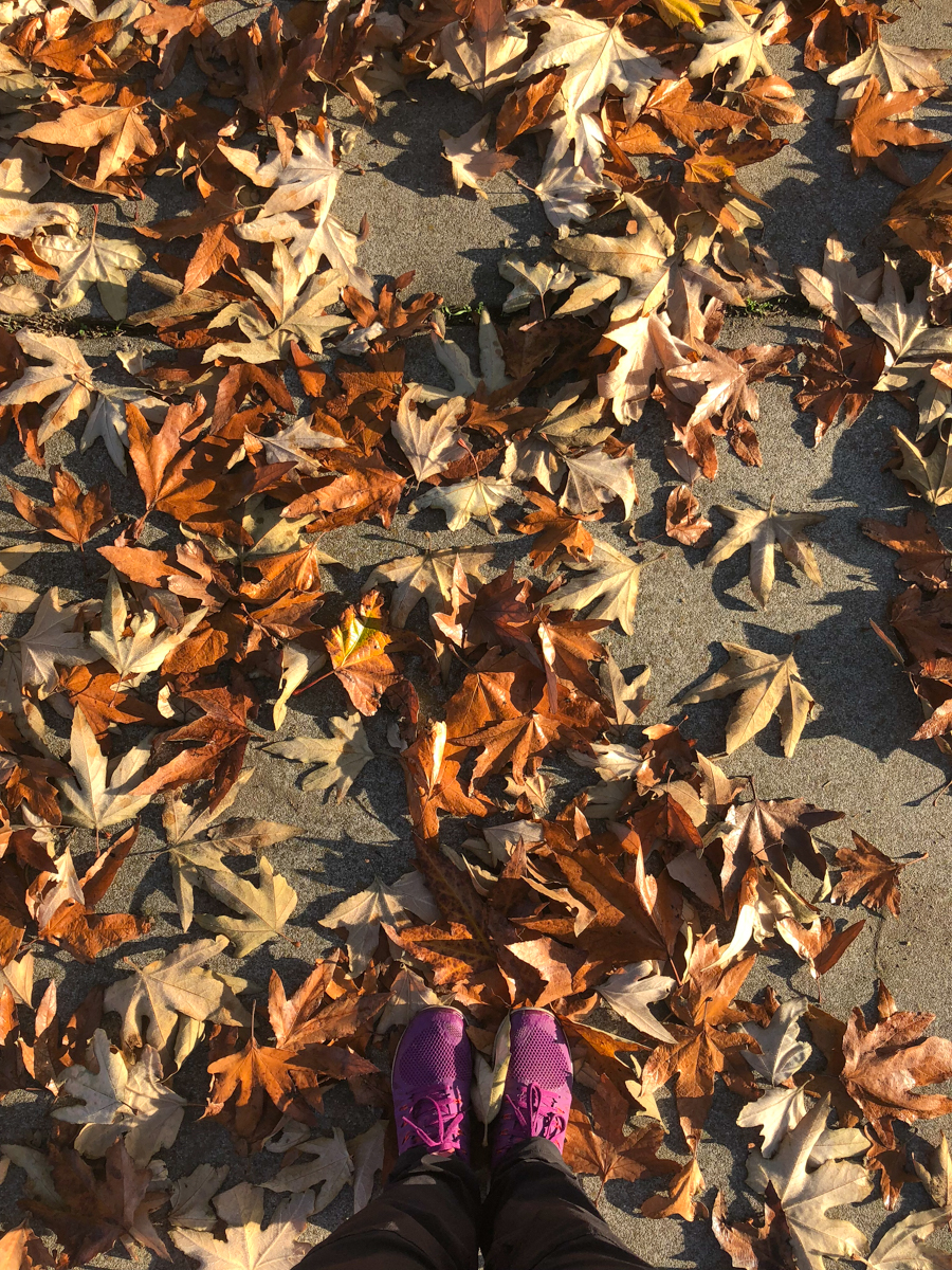 tapis-d-automne