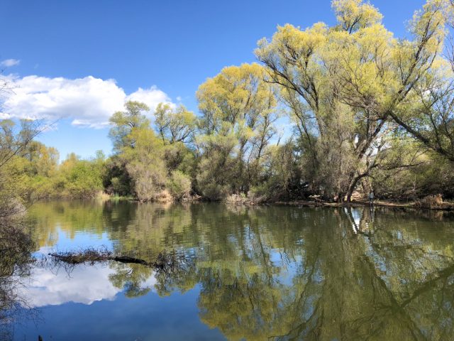 clear-lake-california
