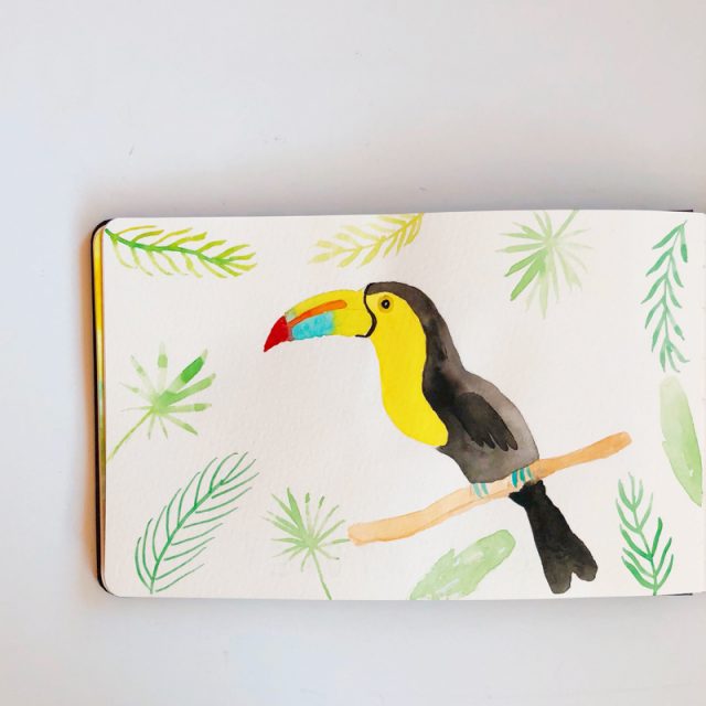 toucan-aquarelle