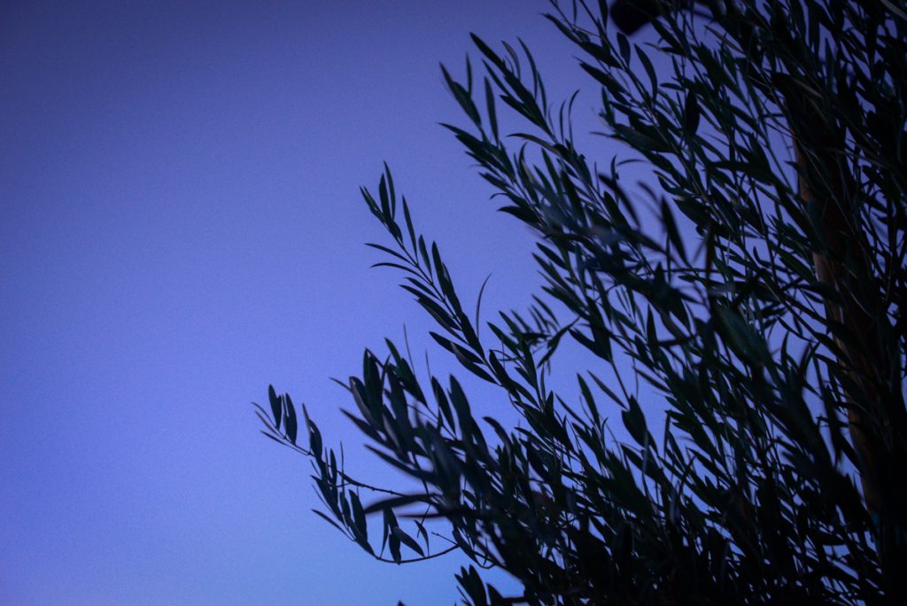 coucher-soleil-bleu