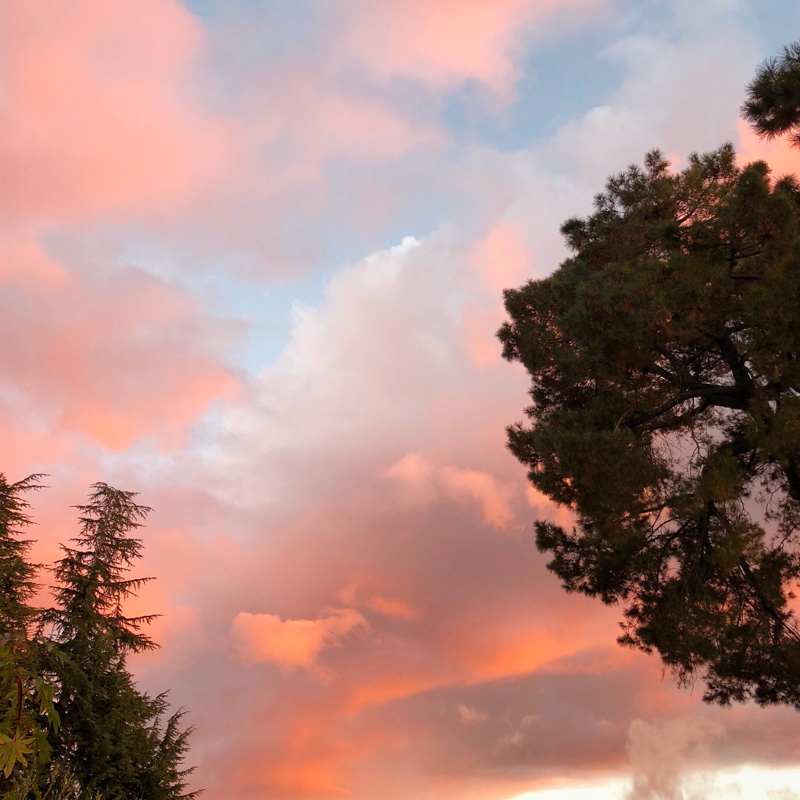 sunset-californie