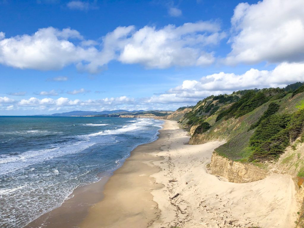 san-gregorio-state-beach