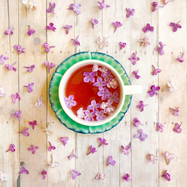 tisane-lilac