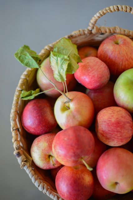cueillette-pommes-californie