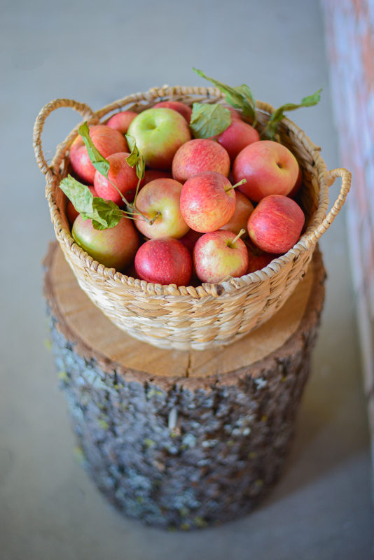 cueillette-pommes-californie