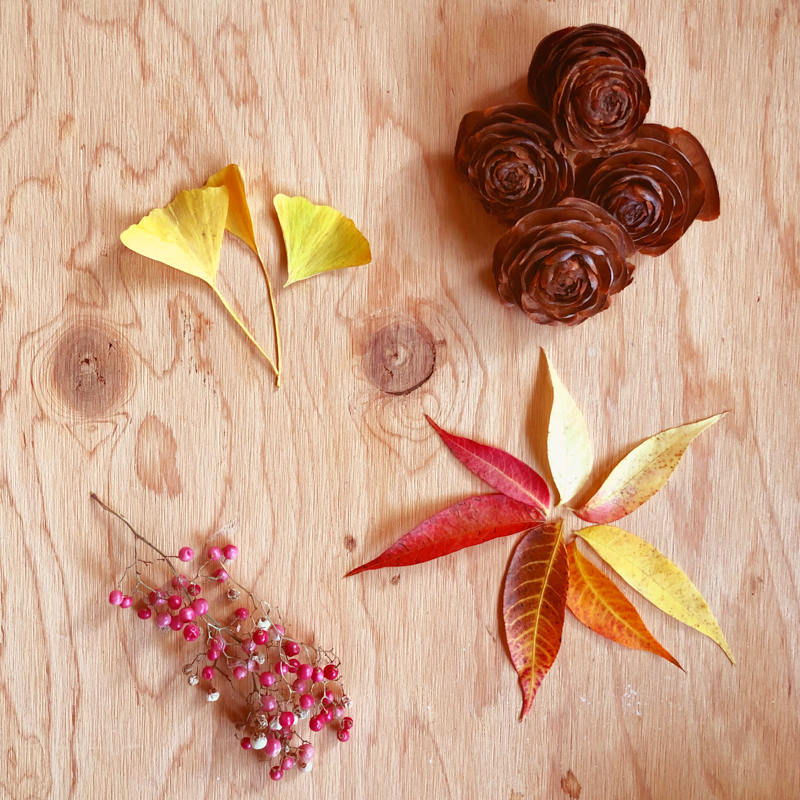 composition-automne