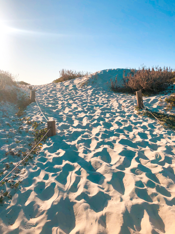 monterey-beach