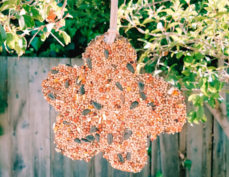 mangeoire-oiseau-diy